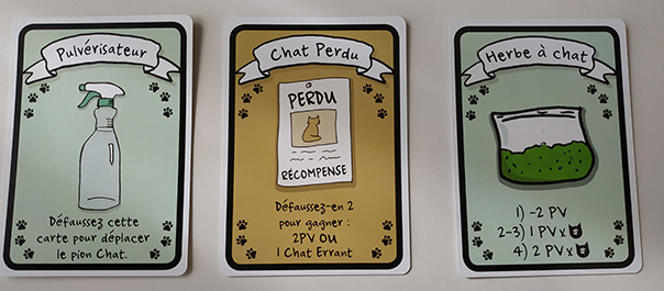 cat-lady-cartes