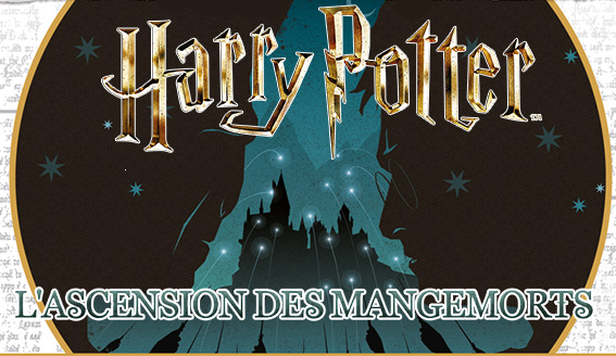 Harry Potter La Quete Des Sorciers Jeu De Cartes France Carte