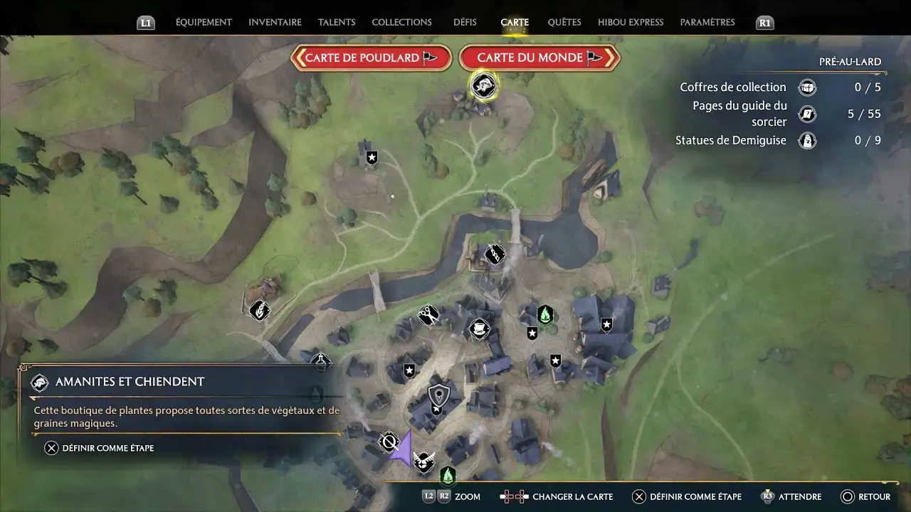 Boutique Amanite et Chiendent 4