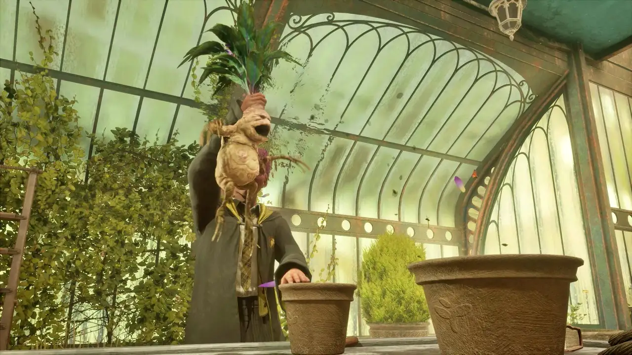 Boutique Amanite et Chiendent 1