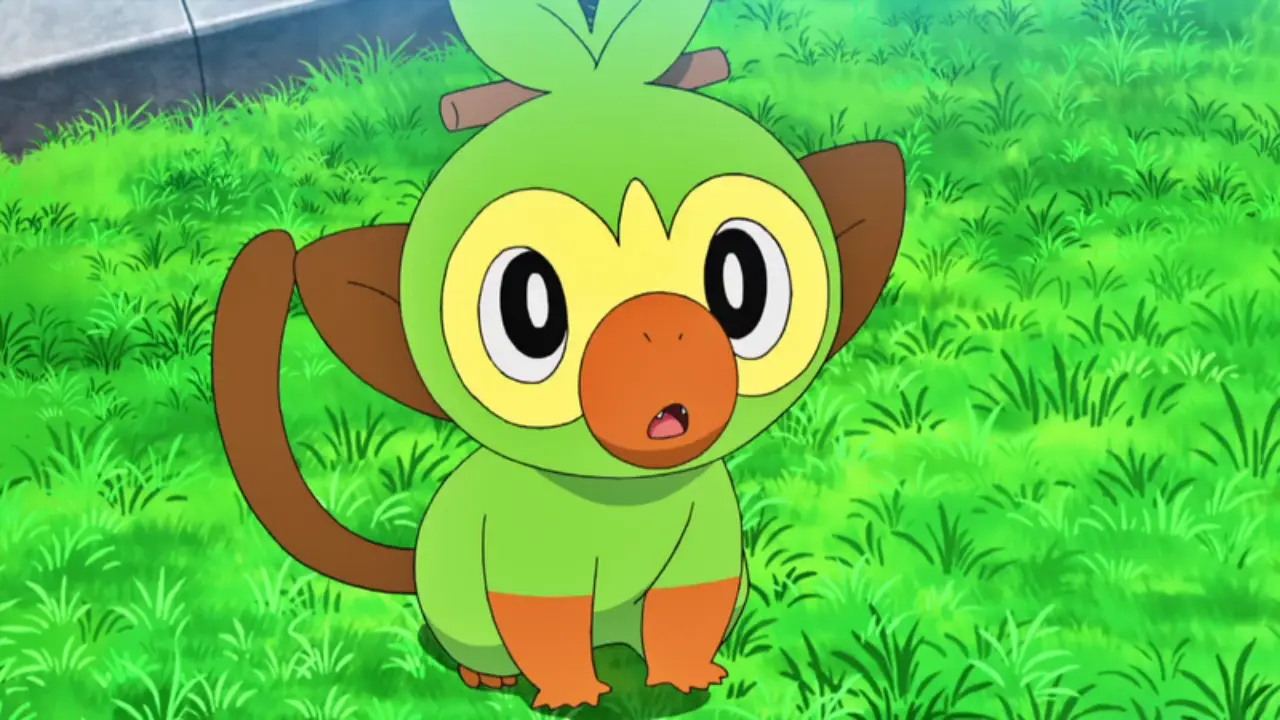 Ouistempo Pokémon Épée Starter