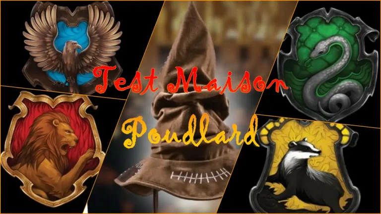 Test maison Poudlard