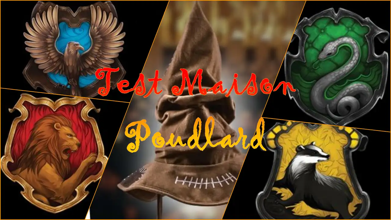 Test maison Poudlard